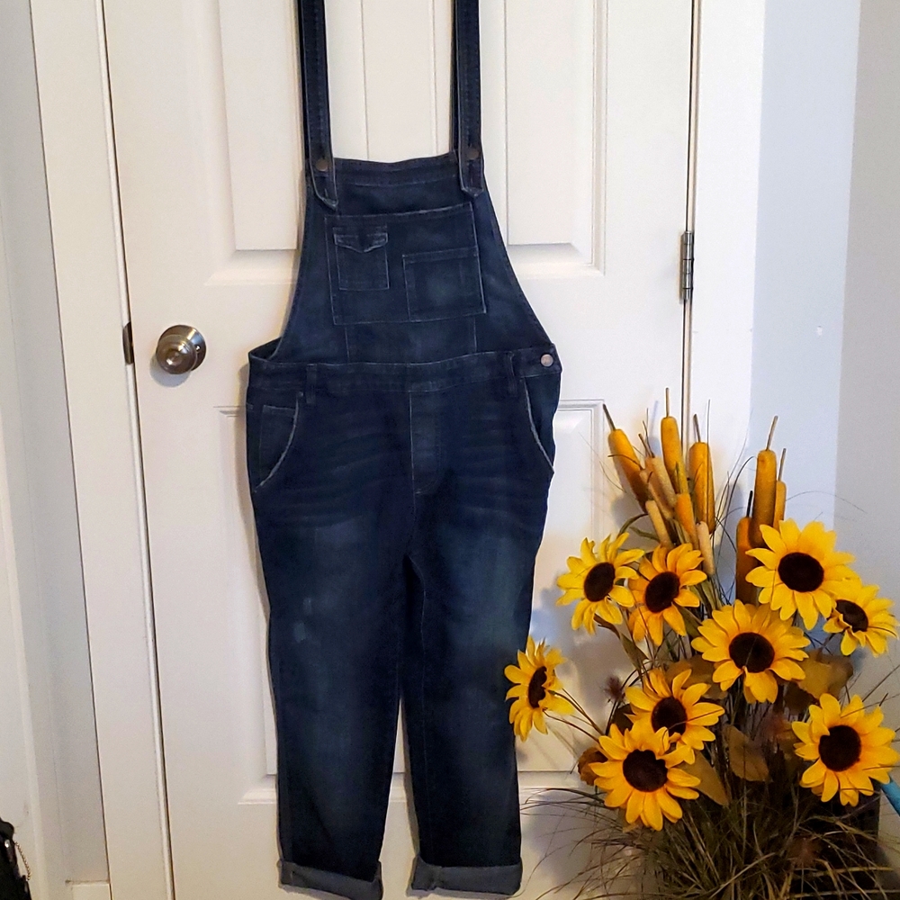 Free People Denim Overalls